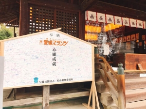 52320289_2035680729803110_8809402571807522816_n