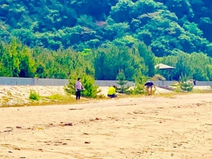 56D5FBEC-C610-4E7C-82B1-AD4035D375B8