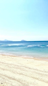 D8A94265-B11D-42C0-BCF9-F70DF50D287F